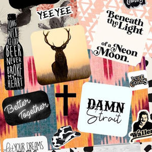 Meet your Posher, Lacy